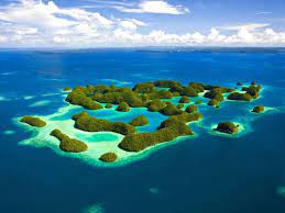 Mikronezya Online  Hacamat Sülük Kursu Ebusadullah 