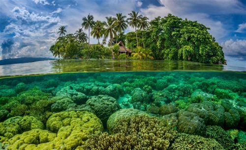 Solomon Adaları   Online Hacamat Sülük Kursu Ebusadullah 