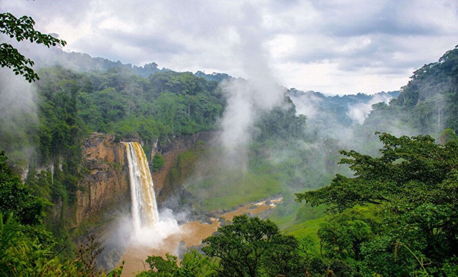 Kamerun Hacamat Sülük Kursu Ebusadullah 