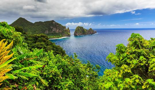 Amerikan Samoa Hacamat Sülük Kursu Ebusadullah 