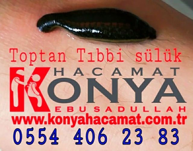 Konya Hacamat Ebusadullah Blog