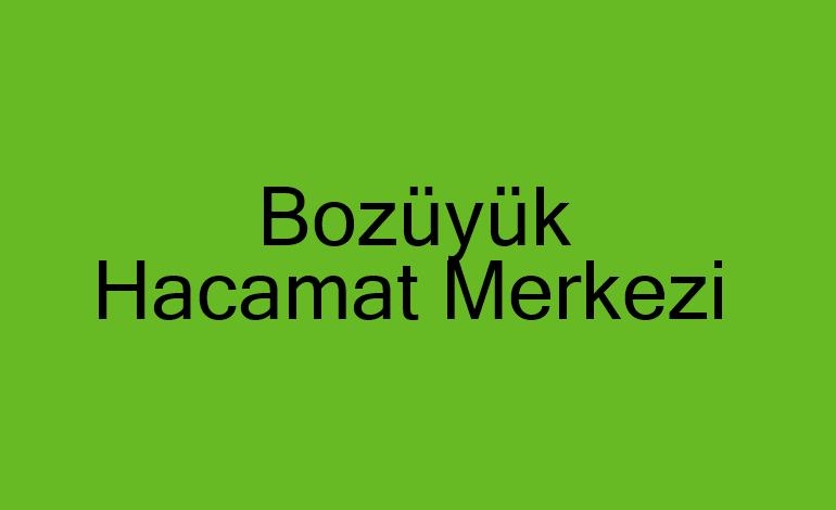 Bozüyük Hacamat Merkezi