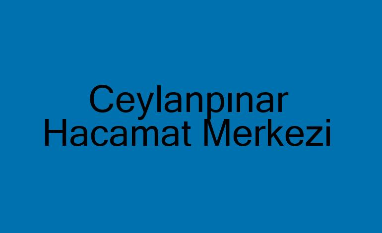 Ceylanpınar  Hacamat Kupaları,Malzemeleri sülük Satış Merkezi,Hacamat Kursu,