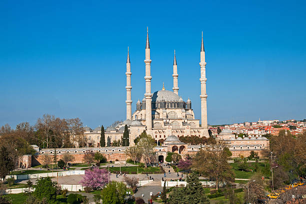 Edirne Hacamat Sülük Kursu 