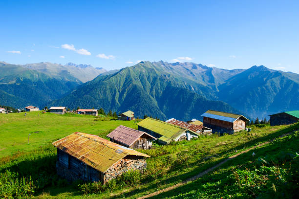 Giresun Hacamat Merkezi