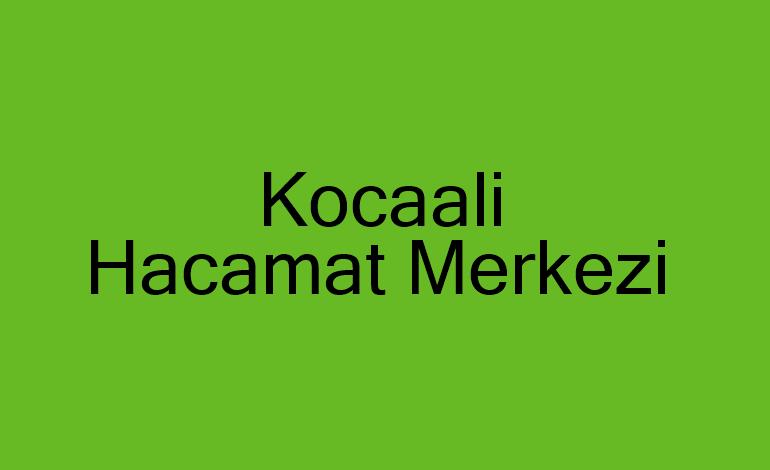 Kocaali  Hacamat Kupaları,Malzemeleri sülük Satış Merkezi,Hacamat Kursu