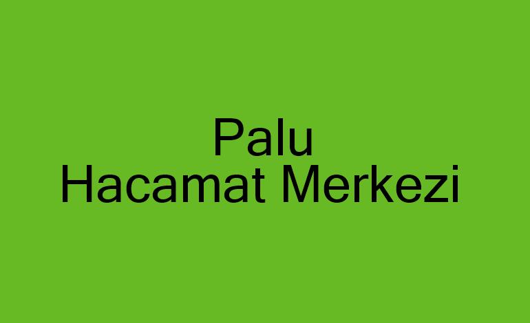 Palu Hacamat Merkezi