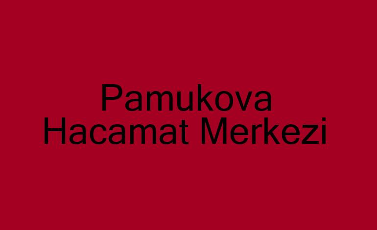 Pamukova Hacamat Kupaları,Malzemeleri sülük Satış Merkezi,Hacamat Kursu,