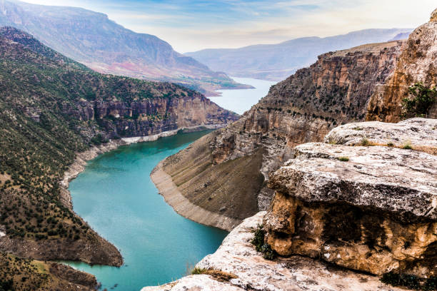 Siirt  Hacamat Kupaları,Malzemeleri sülük Satış Merkezi,Hacamat Kursu