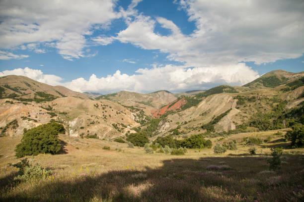 Tunceli Hacamat Merkezi